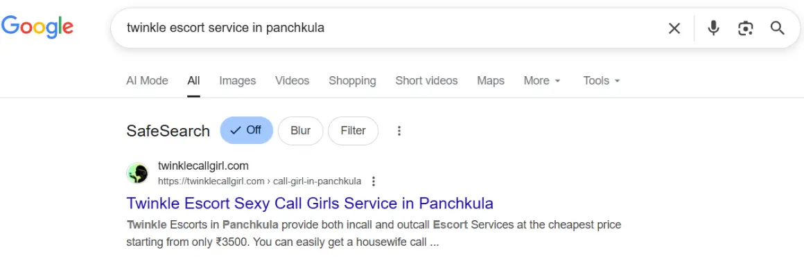 screenshot result keyword type on google 'twinkle escort service in panchkula'